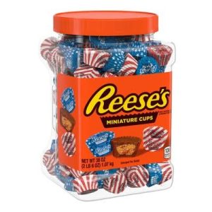 REESES MINIATURE CUPS 1.07KG